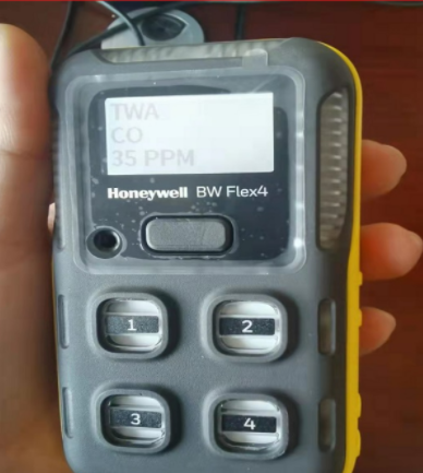 BW氣體檢測儀Flex4